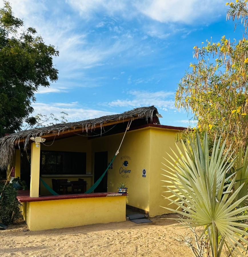דירות Cabo Pulmo Bungalow Cirujano מראה חיצוני תמונה