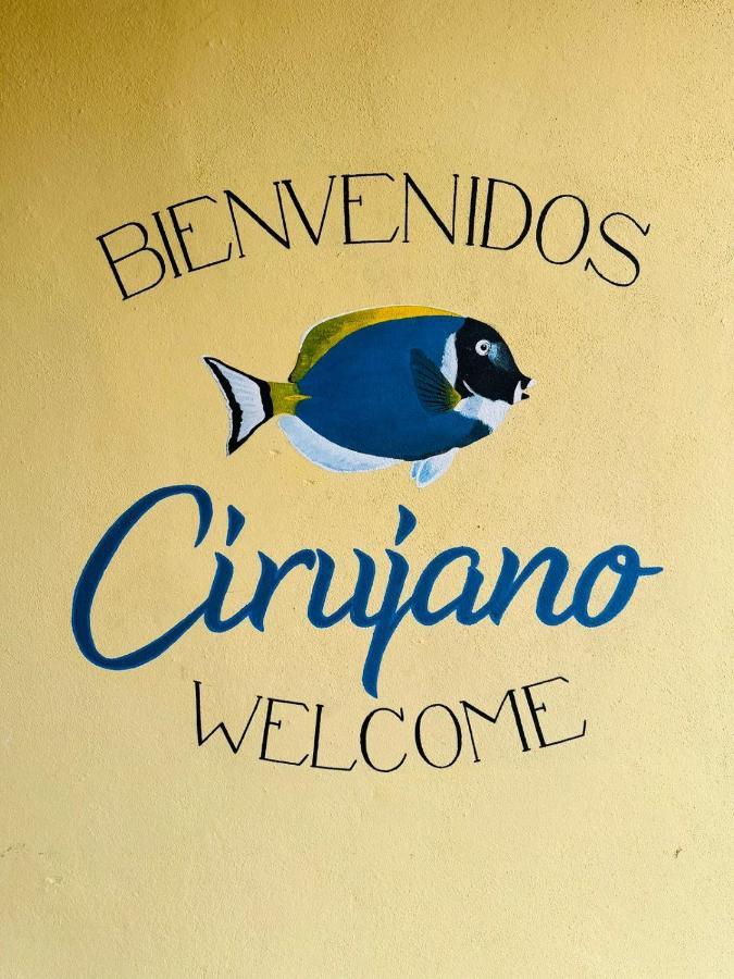 דירות Cabo Pulmo Bungalow Cirujano מראה חיצוני תמונה