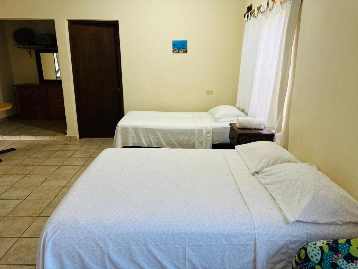 דירות Cabo Pulmo Bungalow Cirujano מראה חיצוני תמונה